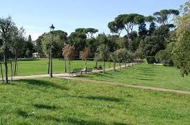 appartamento in affitto a Roma in zona Trieste