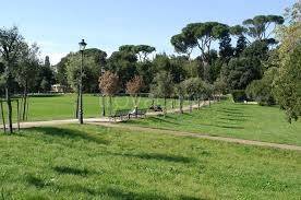 appartamento in affitto a Roma in zona Trieste