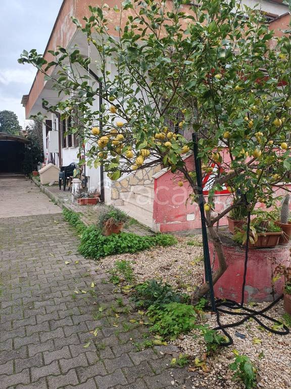 appartamento in affitto a Roma in zona Infernetto