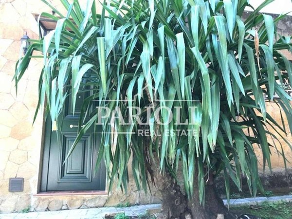 appartamento in affitto a Roma in zona Parioli