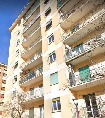 appartamento in affitto a Roma in zona Portuense