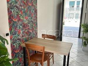 appartamento in affitto a Roma in zona Tor Vergata/Torrenova