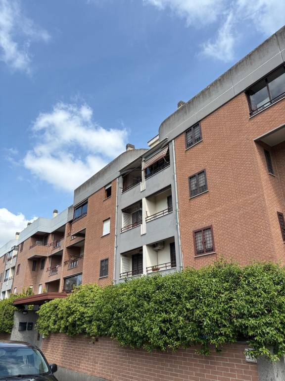 appartamento in affitto a Roma in zona Trigoria