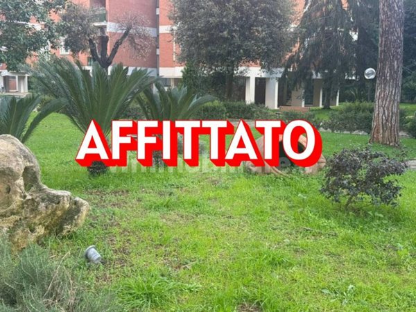 appartamento in affitto a Roma in zona Ardeatino