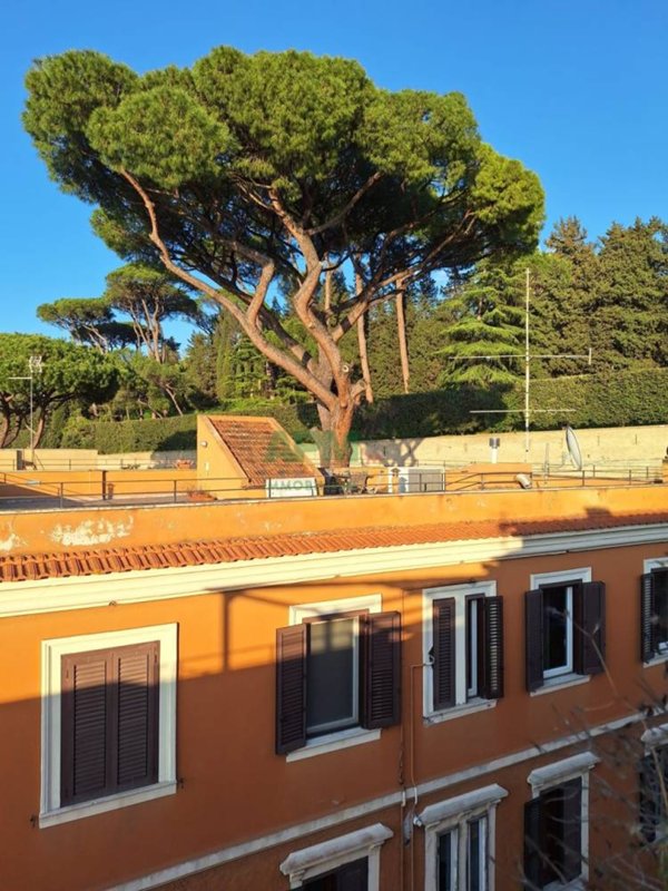 appartamento in affitto a Roma in zona Rione Prati