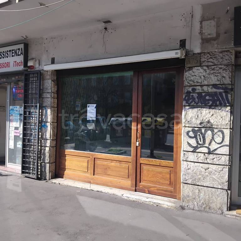 appartamento in affitto a Roma in zona Gianicolense