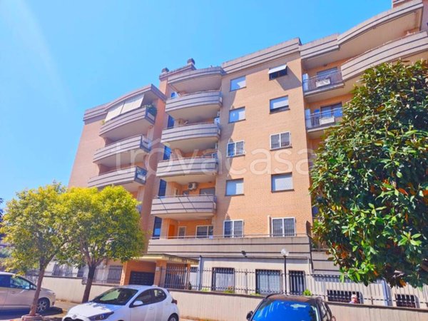 appartamento in affitto a Roma in zona Ponte di Nona