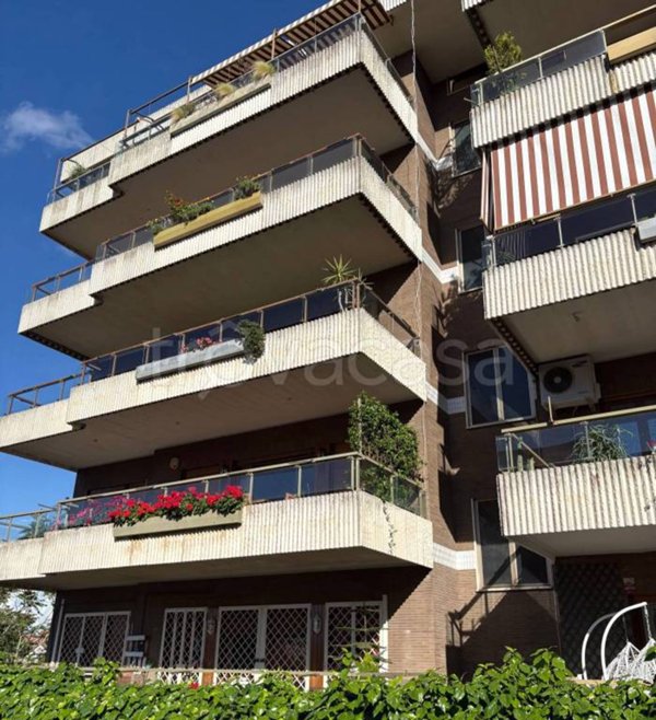 appartamento in affitto a Roma in zona Grottarossa