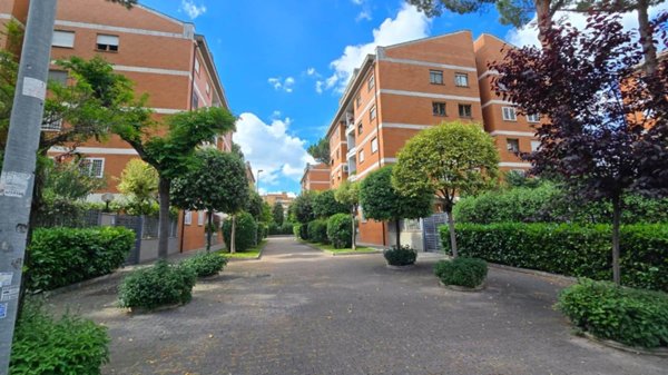 appartamento in affitto a Roma in zona Monte Sacro/Talenti