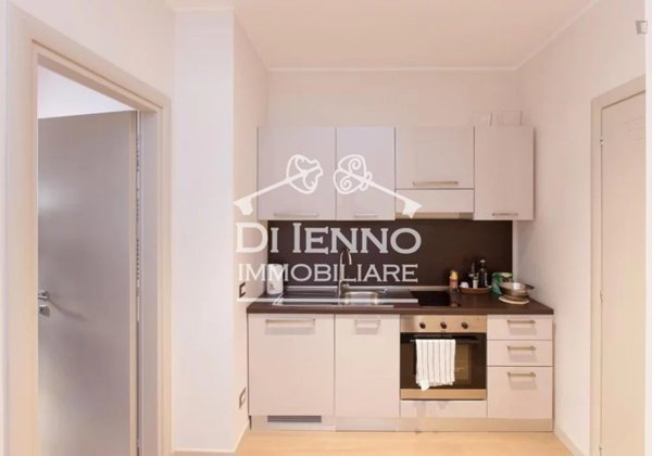 appartamento in affitto a Roma in zona Parioli
