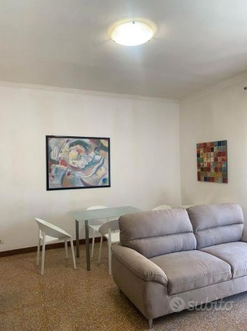 appartamento in affitto a Roma in zona Monte Sacro/Talenti