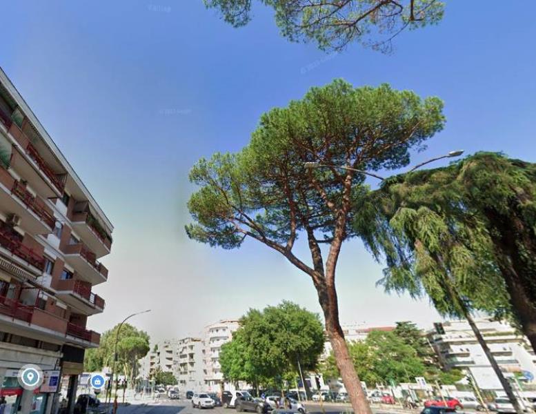 appartamento in affitto a Roma in zona Monte Sacro/Talenti