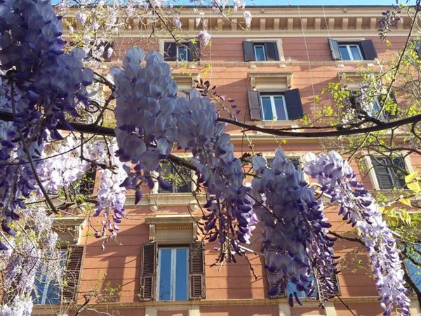 appartamento in affitto a Roma in zona Pinciano