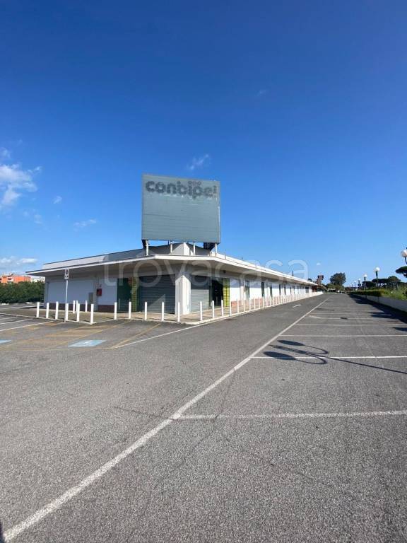 negozio in affitto a Roma in zona Trigoria