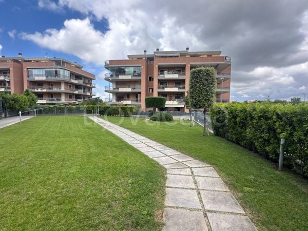 appartamento in affitto a Roma in zona Mezzocammino