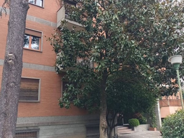 appartamento in affitto a Roma in zona Trieste