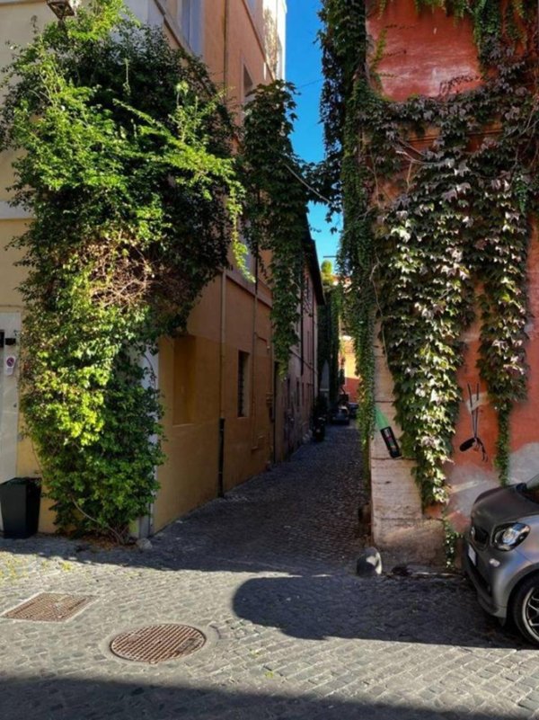 appartamento in affitto a Roma in zona Trastevere