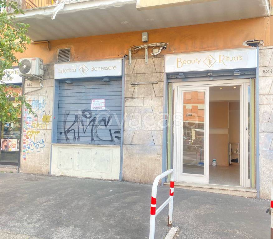 appartamento in affitto a Roma