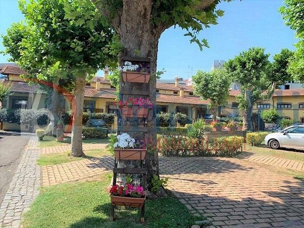 appartamento in affitto a Roma in zona Flaminio