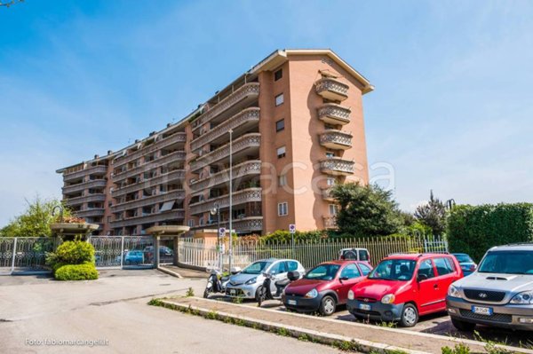 appartamento in affitto a Roma in zona Monte Sacro/Talenti
