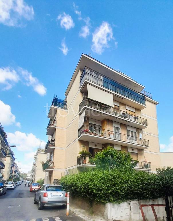 appartamento in affitto a Roma in zona Torrevecchia