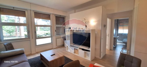 appartamento in affitto a Roma in zona EUR