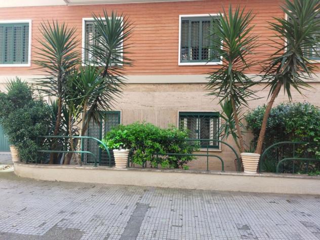 appartamento in affitto a Roma in zona Trieste