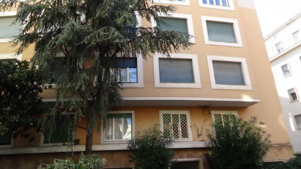appartamento in affitto a Roma in zona Parioli
