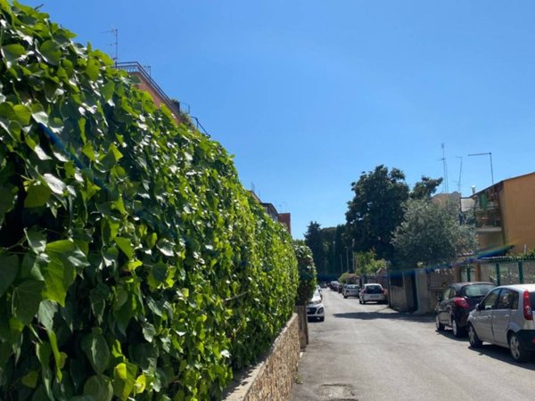 appartamento in affitto a Roma in zona Torrevecchia