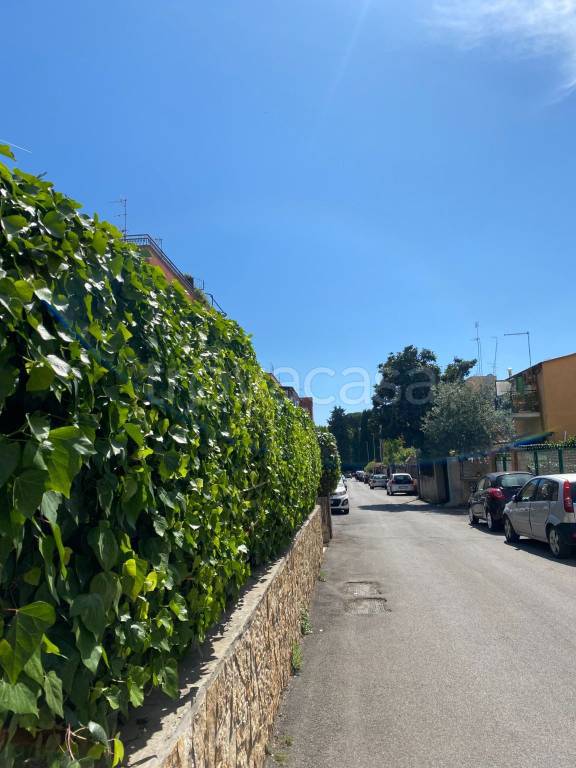 appartamento in affitto a Roma in zona Torrevecchia