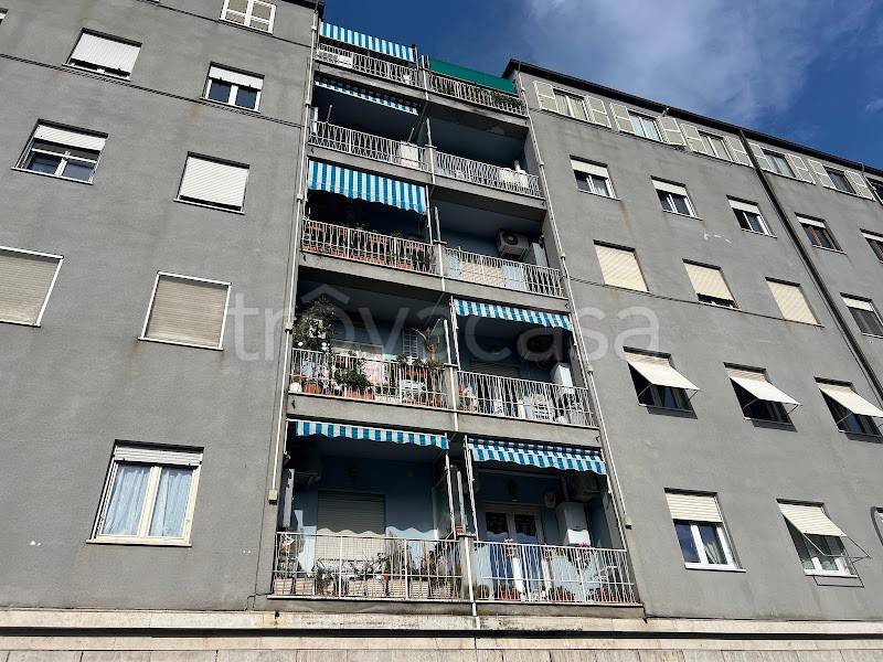 appartamento in affitto a Roma in zona Monte Sacro/Talenti