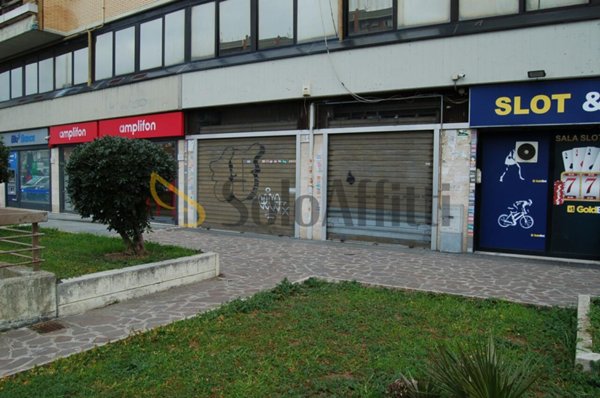 appartamento in affitto a Roma in zona Torre Gaia