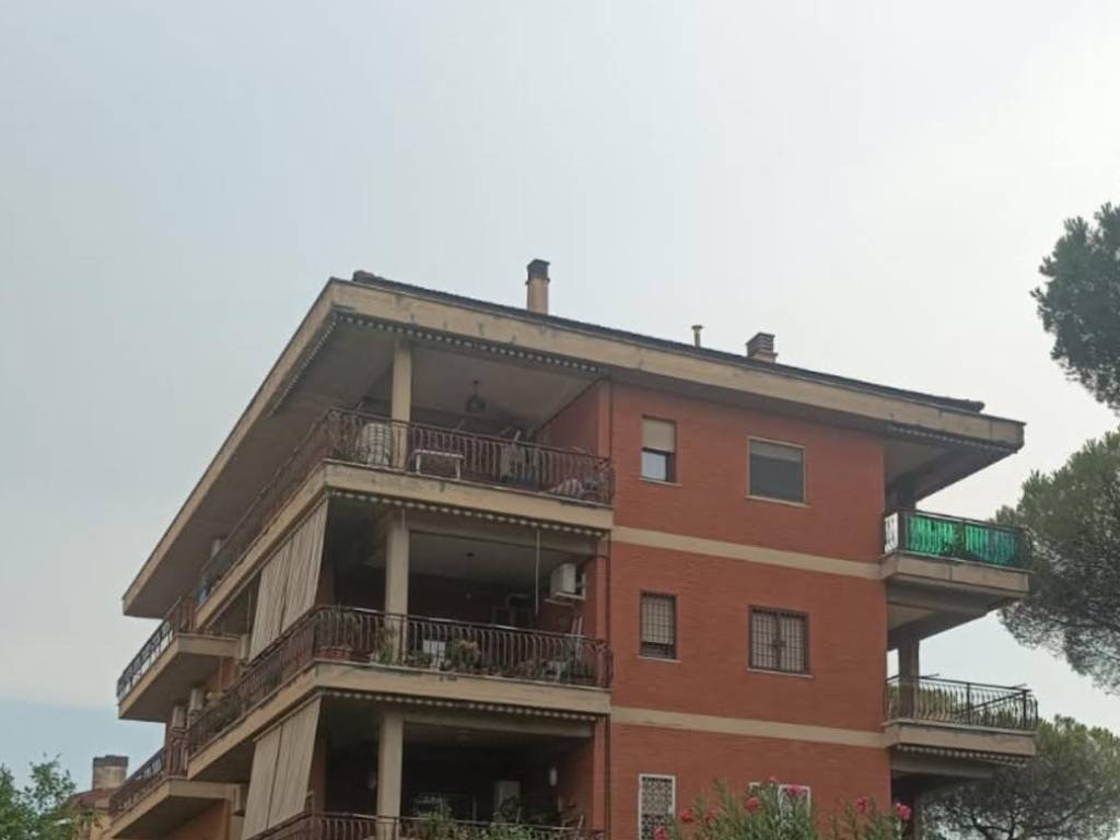 appartamento in affitto a Roma in zona Tor Vergata/Torrenova
