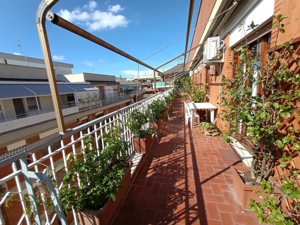 appartamento in affitto a Roma in zona Appio Latino