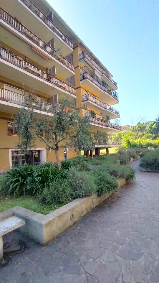 appartamento in affitto a Roma in zona Torrino