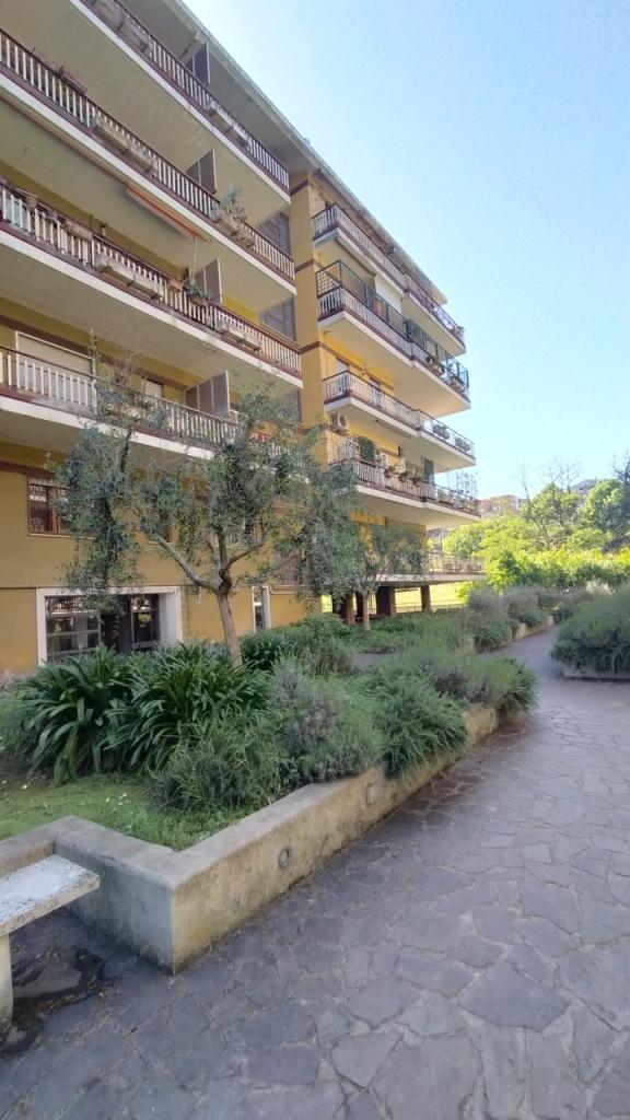 appartamento in affitto a Roma in zona Torrino