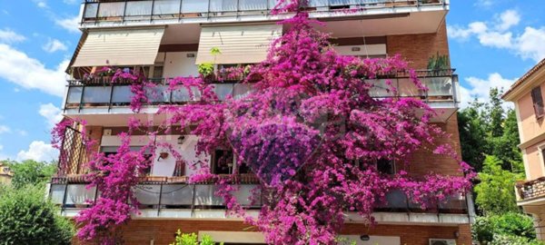 appartamento in affitto a Roma in zona Della Vittoria