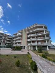 appartamento in affitto a Roma in zona Appio Claudio