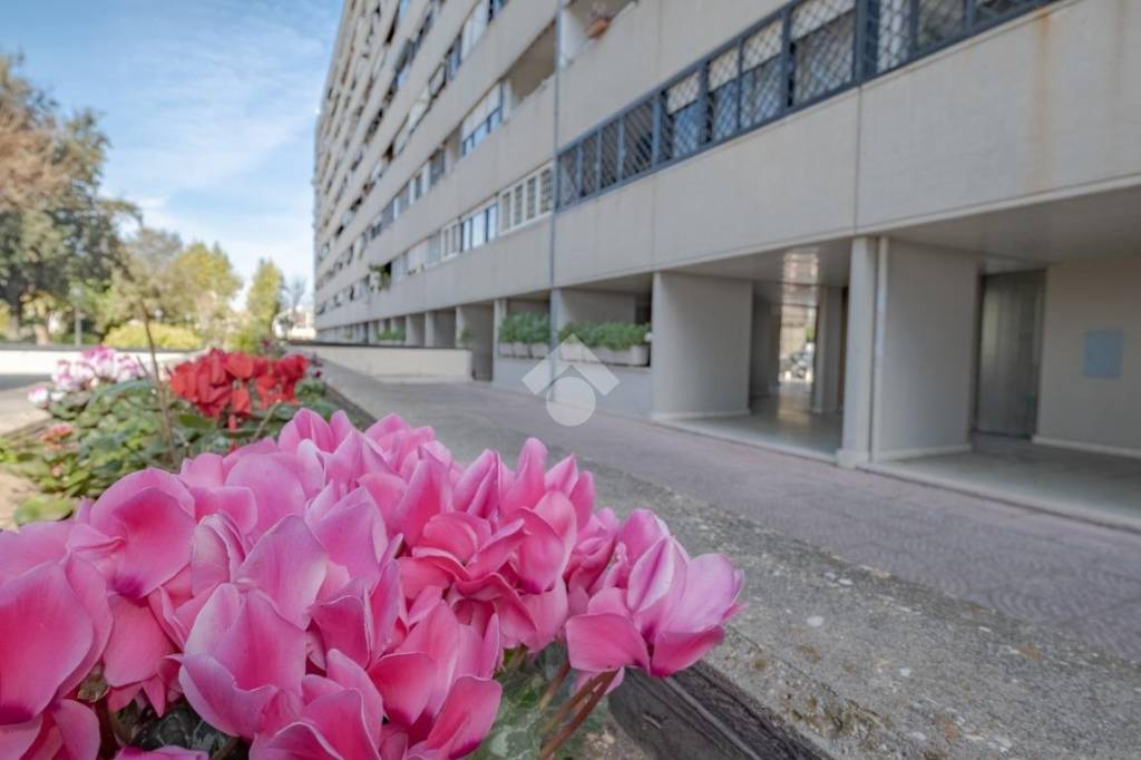 appartamento in affitto a Roma in zona Ostiense