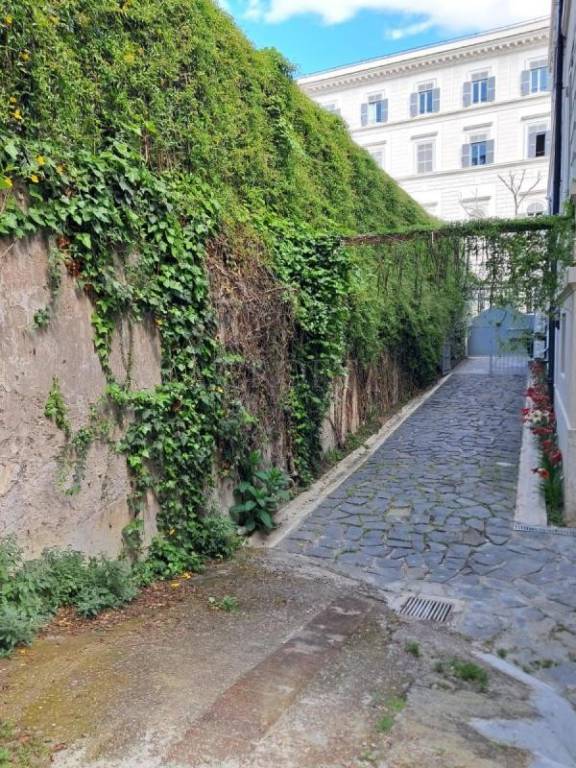appartamento in affitto a Roma in zona Rione Prati