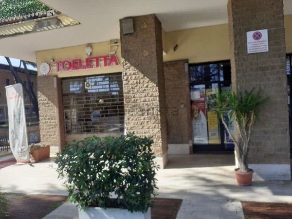 locale commerciale in affitto a Roma in zona La Giustiniana