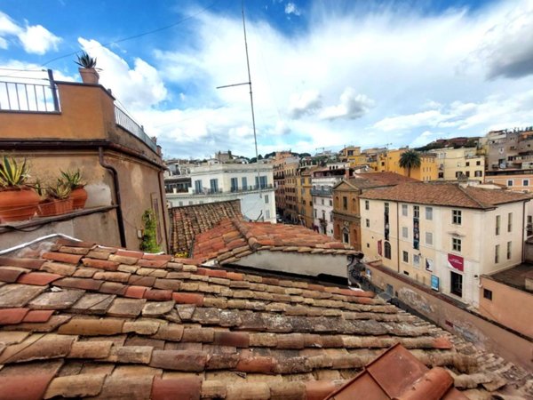 appartamento in affitto a Roma in zona Campo Marzio