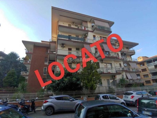 appartamento in affitto a Roma in zona Monte Sacro/Talenti