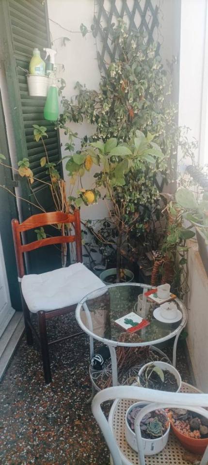 appartamento in affitto a Roma in zona Celio