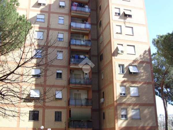 appartamento in affitto a Roma in zona Pietralata