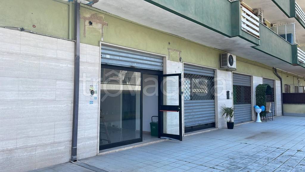 appartamento in affitto a Roma in zona Trigoria