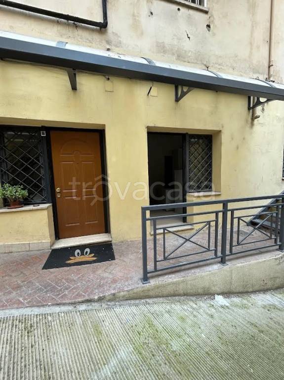 appartamento in affitto a Roma in zona Flaminio