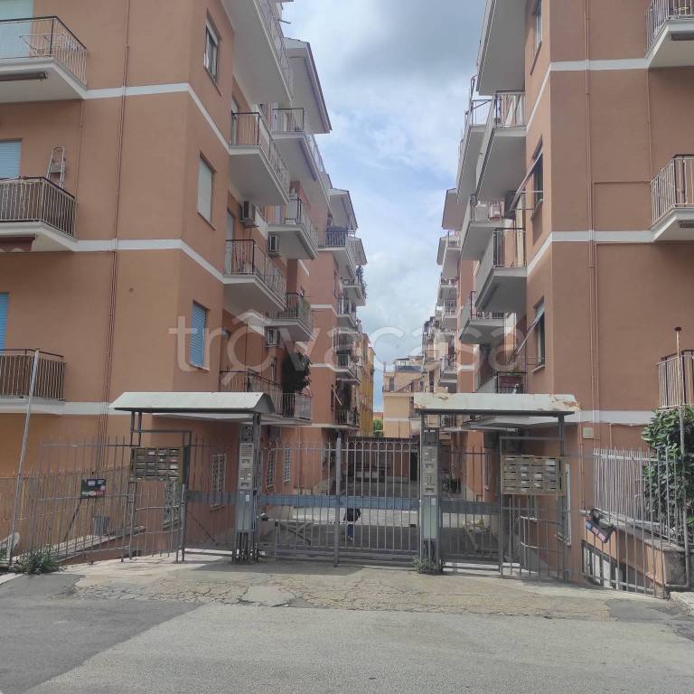 appartamento in affitto a Roma in zona Primavalle