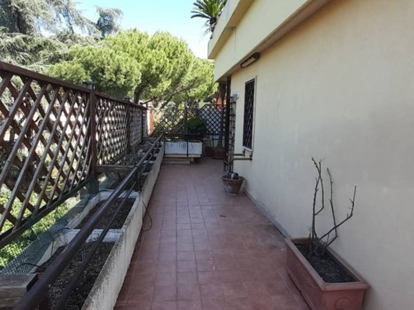 appartamento in affitto a Roma in zona Monte Sacro/Talenti