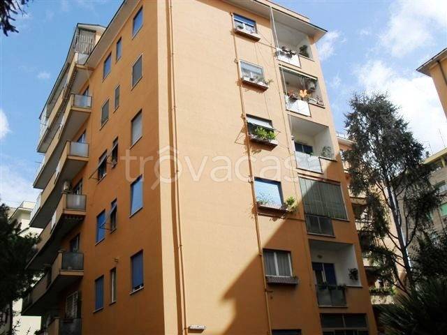 appartamento in affitto a Roma in zona Ostiense